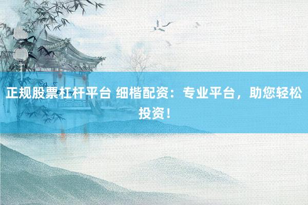 正规股票杠杆平台 细楷配资：专业平台，助您轻松投资！