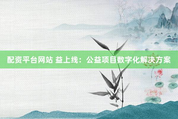配资平台网站 益上线：公益项目数字化解决方案