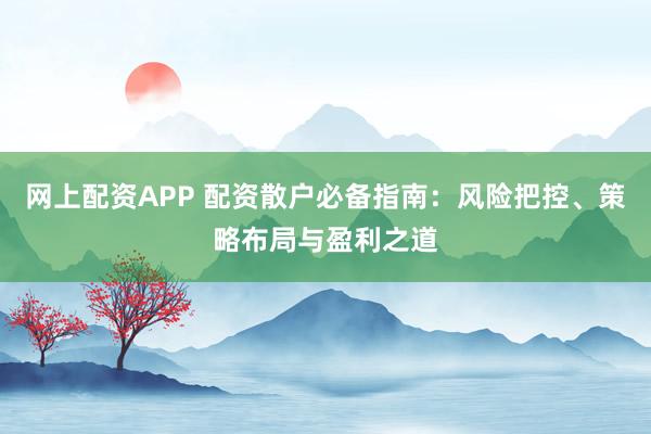 网上配资APP 配资散户必备指南：风险把控、策略布局与盈利之道
