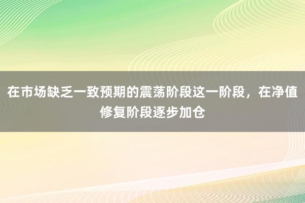 在市场缺乏一致预期的震荡阶段这一阶段，在净值修复阶段逐步加仓