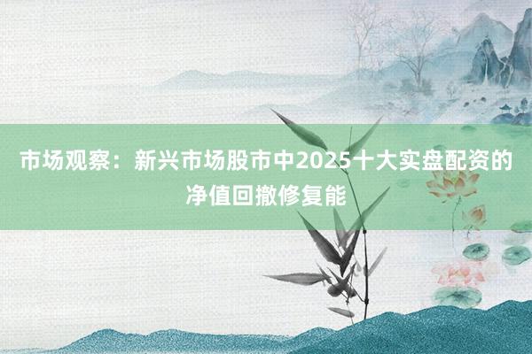 市场观察：新兴市场股市中2025十大实盘配资的净值回撤修复能