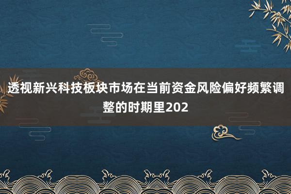 透视新兴科技板块市场在当前资金风险偏好频繁调整的时期里202