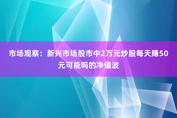 市场观察：新兴市场股市中2万元炒股每天赚50元可能吗的净值波