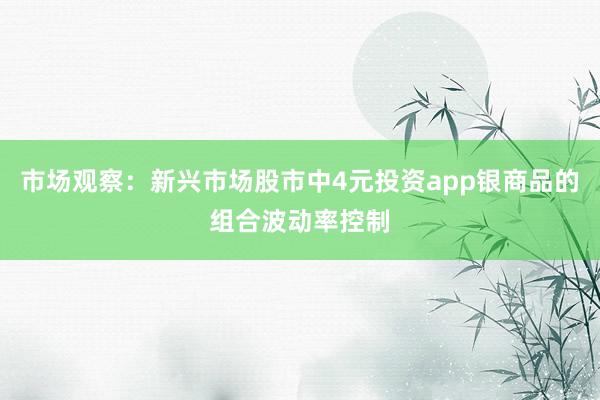 市场观察：新兴市场股市中4元投资app银商品的组合波动率控制