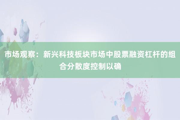 市场观察：新兴科技板块市场中股票融资杠杆的组合分散度控制以确