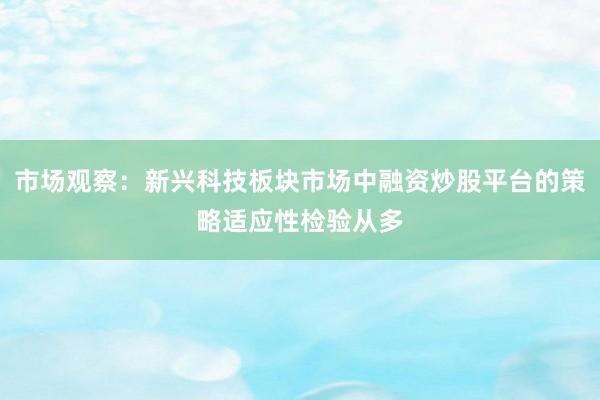 市场观察：新兴科技板块市场中融资炒股平台的策略适应性检验从多