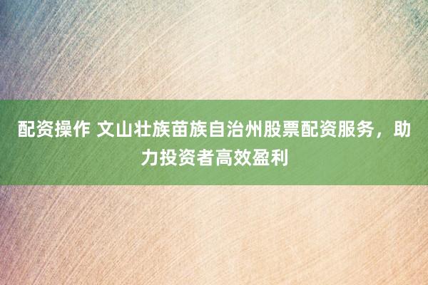 配资操作 文山壮族苗族自治州股票配资服务，助力投资者高效盈利