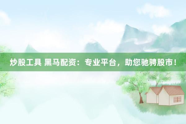 炒股工具 黑马配资：专业平台，助您驰骋股市！